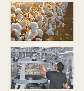h clothing - picture of the organic cotton field and of the factory with a man handling the machine that spins the cotton