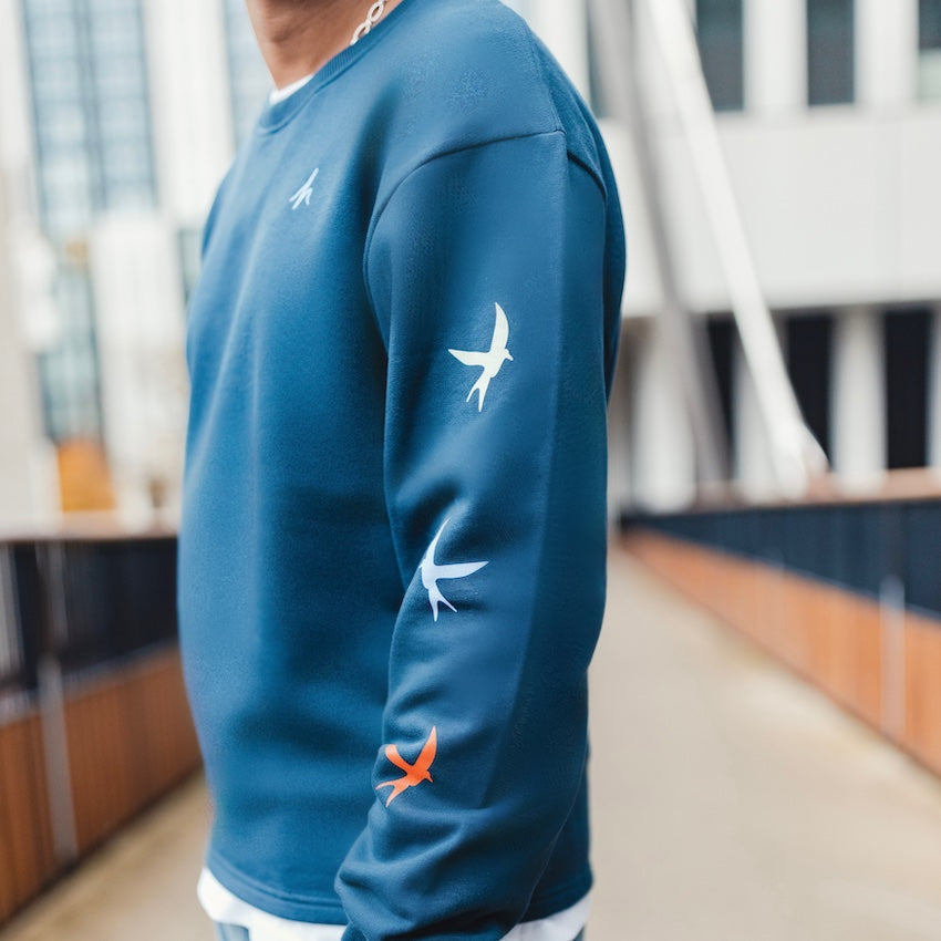 h clothing - close up of male model standing side on wearing navy blue sweatshirt with 3 colourful birds on left arm