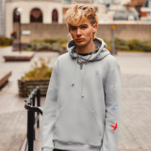 h clothing - male model facing the camera wearing heather grey hoodie with colourful birds on left arm