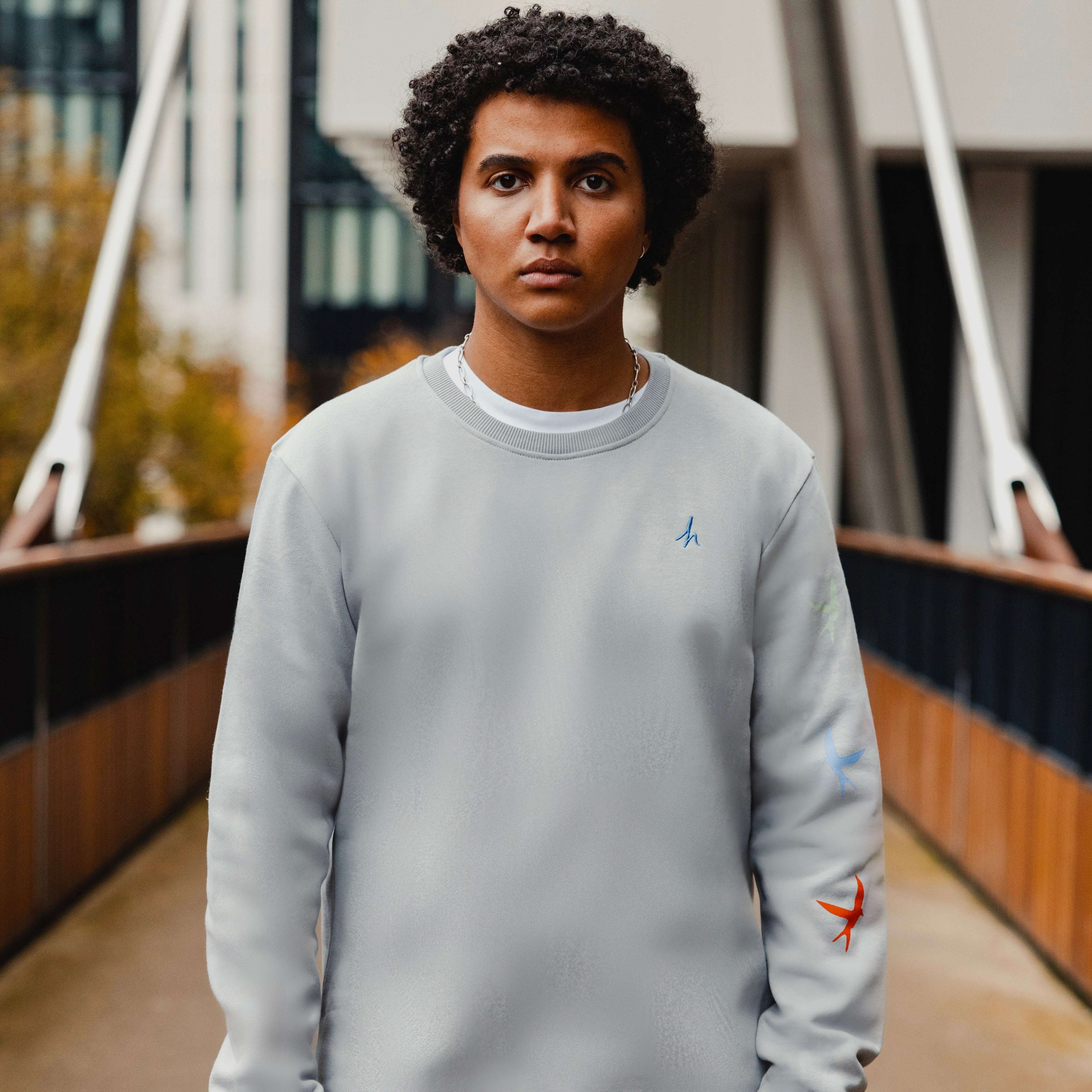 h clothing - male model facing the camera wearing heather grey sweatshirt with colourful birds on left arm