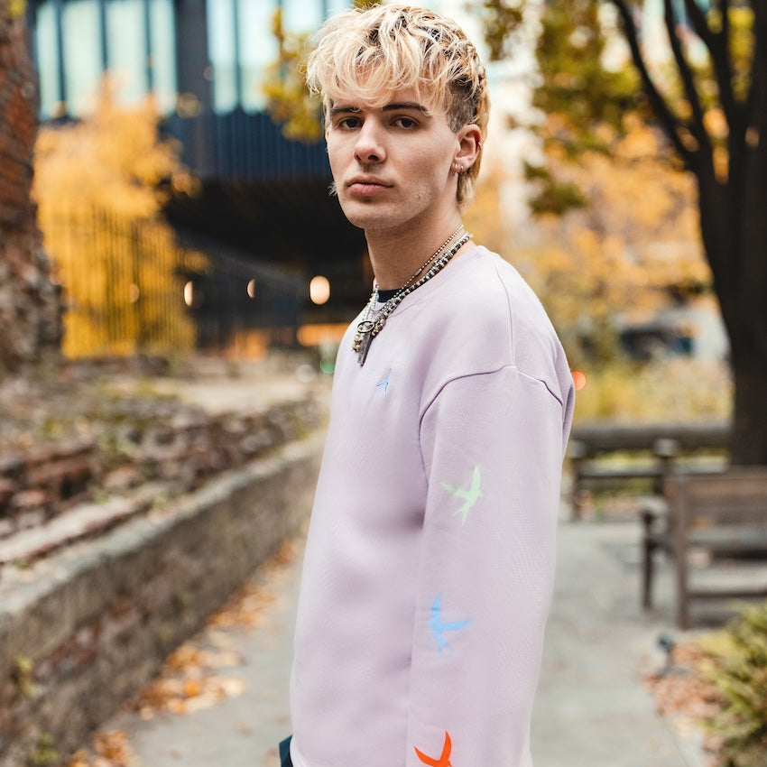 h clothing - male model standing side on wearing light purple sweatshirt with colourful birds on left arm
