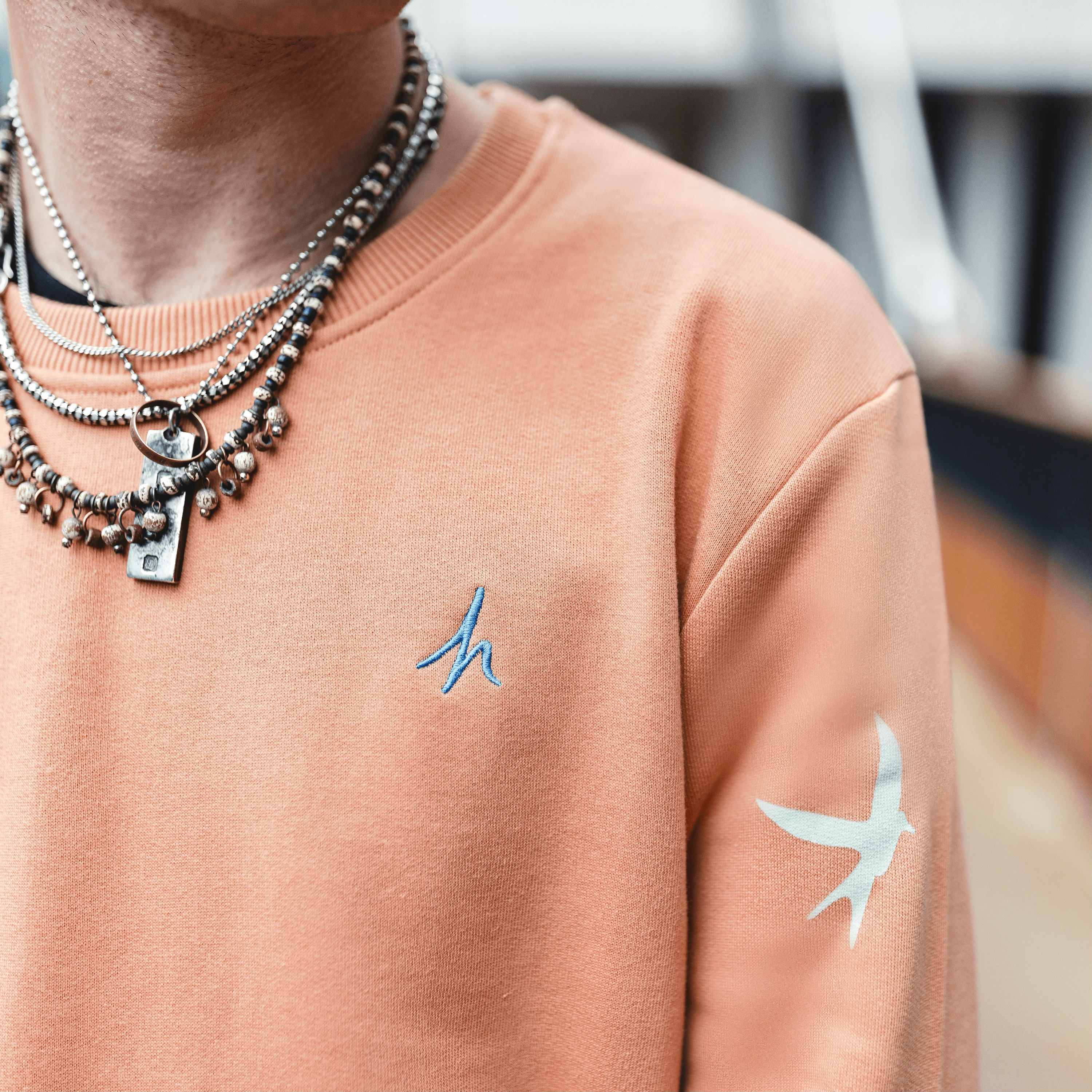 h clothing - close up of male model wearing pastel orange sweatshirt with blue h logo and colourful bird on left arm