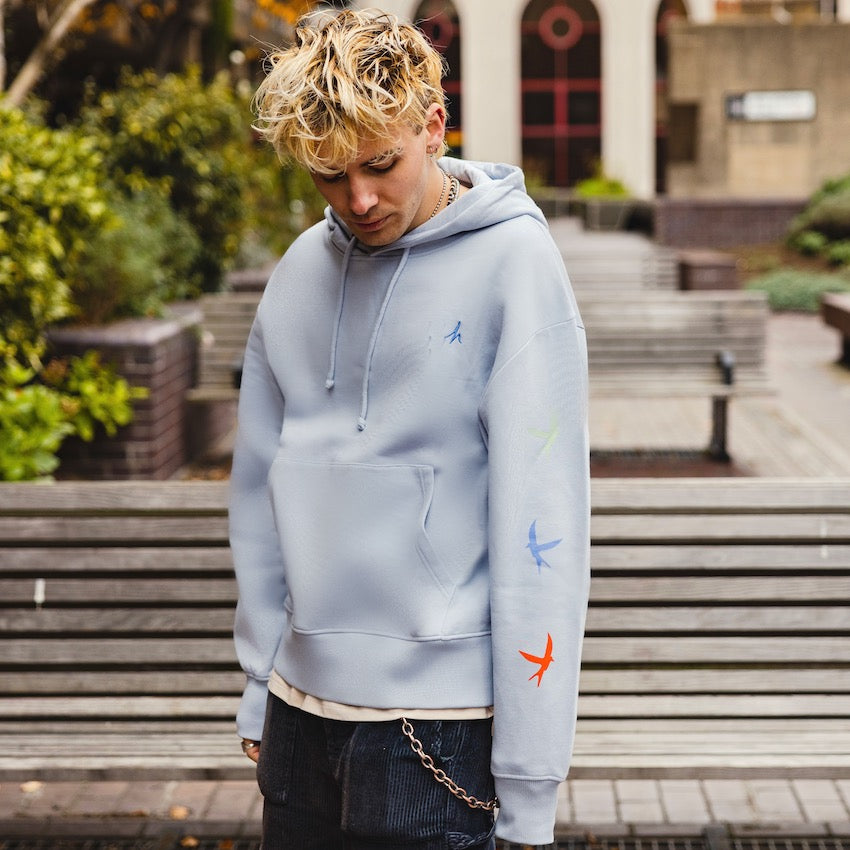 h clothing - male model facing the camera wearing sky blue hoodie with colourful birds on left arm